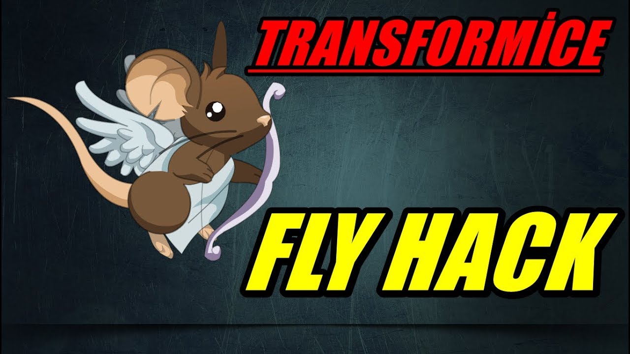 transformice hack fly 2014